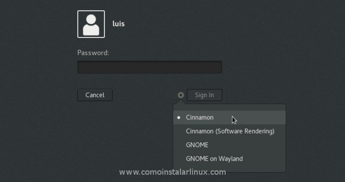 arch linux install arch linux instalar 08 gdm entorno grafico graphic environment login cinnamon