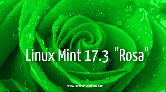 linux mint 17.3